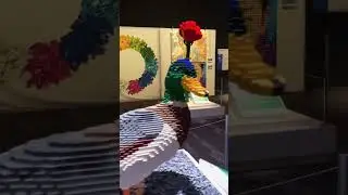 LEGOS: The Most Amazing Lego Builds! Brick Master Studio Adventure Science Center Shorts #shorts