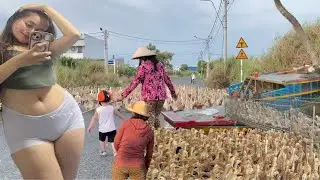 Full video: Herding Ducks Home &ndash; But This Little Trouble Maker Stole the Show!