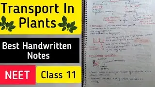 Transport In Plants Best Handwritten Notes 🔥 NEET Biology Notes | Class 11 | Biology Square