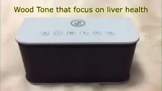 Master Shen Wu&rsquo;s &ldquo;Music Therapy Speakers &ndash; Sleep and Healing Series&rdquo;