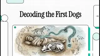 Decoding the First Dogs