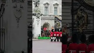 Созвано экстренное совещание королевской семьи #британскаякоролевскаясемья #королевскиешорты