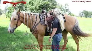 1316 1317 Tammy Fischer Youth Remuda Signature Treeless Saddle