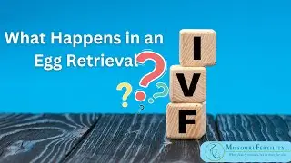 Egg Retrieval Procedure for IVF