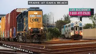 Trains At Dania Beach - SFRTA - December 2023