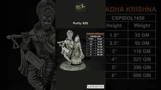 Pure Silver God Idol (Radha Krishna, Vishnu Sitting, Balaji Face & Vishnu Laxmi)