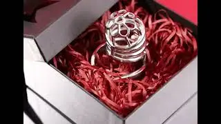 FRRK Male Metal Chastity Cage - F3003