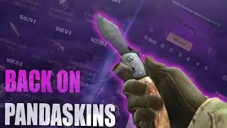 WE PULLED A KNIFE FROM A FREE CASE ON PANDASKIN! (pandaskins opening)