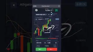 Alligator Indicator Strategy | Simple and Accurate Binary Options Signals #BinaryOptions #trading