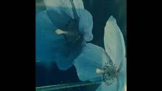 Sango x Atu Type Beat ~