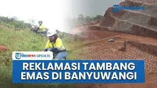 Tambang PT Bumi Suksesindo Reklamasi 84,96 Hektare, Dukung Konservasi di Banyuwangi