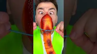 Snake 🐍😱