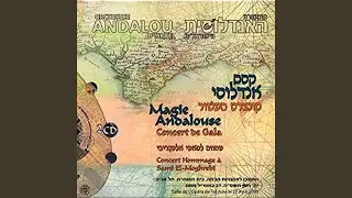 Touchia Sahli