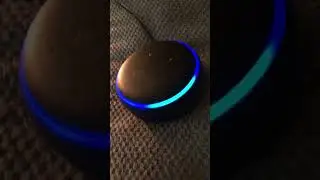 Alexa likes my new haircut