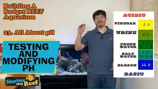 Part #23 All About pH: Building A Budget Reef Aquarium