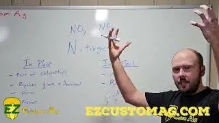 Ez Custom Ag | Nitrogen How it works in the plant and in the soil