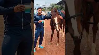 When AI mess up really bad 😂 #youtubeshorts #msdhoni #shorts #AI #messup #AImessedup