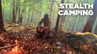 I Went Stealth Camping on Public Land!