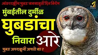आरेच्या जंगलातील दुर्मीळ घुबडं | Owls Of Aarey | International OWL Awareness Day | Maha MTB