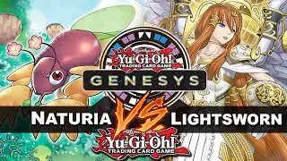 YuGiOh! Genesys - Naturia Vernusylph Vs Lightsworn | Um deck fora do radar