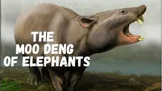 Paleo Log: Moeritherium