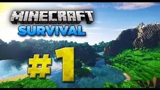 🌍 New World, New Struggle | Minecraft Survival Part 1