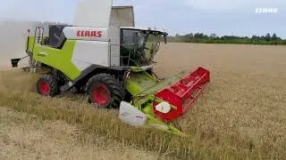CEMOS AUTO HEADER