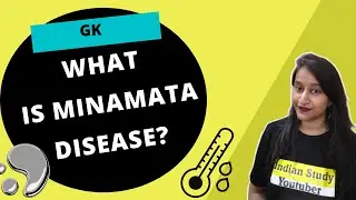 What is Minamata Disease?