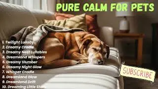 Soothing Music for Rescue Dogs | Trust & Comfort