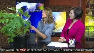 Awbrey Park Hosts Native Plant Tour