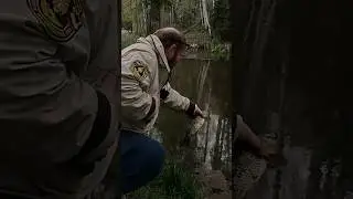 Рыбалка.вода кипит от рыб. #клев #рыбалка #fishing #река #рыболовная #carpfishing #ловим #carp #rib