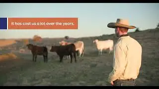 30 sec snippet from Jake Smith. NSW Livestock Agent - Pestivirus impacts profit