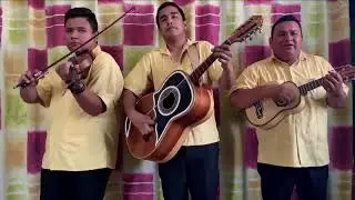 Un rato de Huapangos Huastecos!