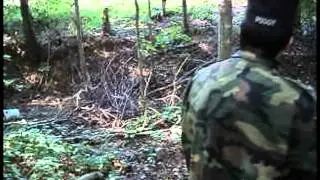PnP Productions - Bloodline