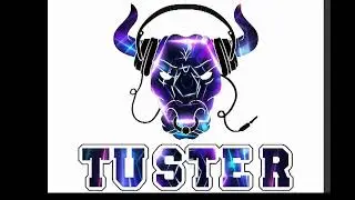 Tuster - Experience