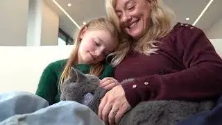 Реклама Pawfit Lite для кошек 2025 | GPS-трекер Pawfit Lite для кошек