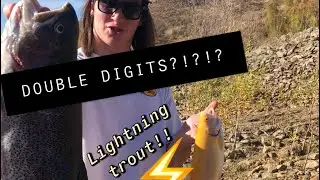 LIMITS of BIG Trout! Diamond Valley Lake