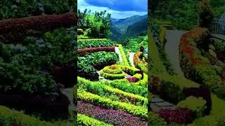FLOWER KINGDOM
