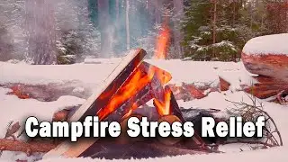 Cozy Relaxation. Relax by the Fire.