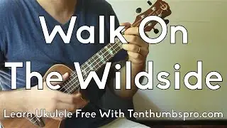 Walk On the Wildside - Lou Reed - Easy Ukulele Beginner Song Tutorial w/Play-A-Long