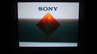 Error Startup SCPH-9001. Crash Bash. Software Terminated