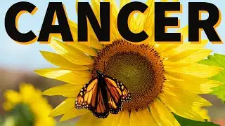 CANCER TAROT READING! JULY 2023