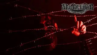 MARTORIATOR - Nail Rain (Official video)