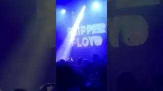 #FLUDDALITY
