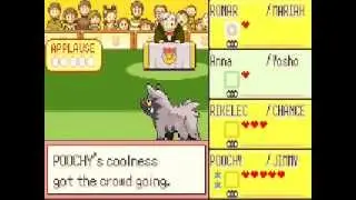 Pokemon Emerald Randomizer Contest Spectacular