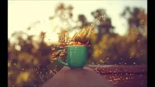 Marchitect - Champagne