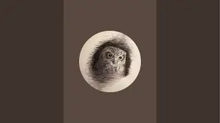Owl Life with Ranzu がライブ配信中！