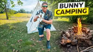 Одиночный поход с моим 10-летним кроликом
