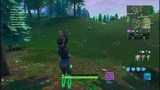 Found Somewhere Between Haunted Hills and Pleasant Park (Fortbyte #30)
