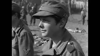 🪖 Prisonniers allemands, tanks US et Eisenhower avec la 101e – Mars 1945 🎖️🔥